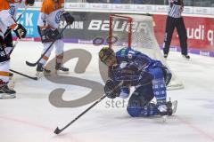 DEL - Eishockey - ERC Ingolstadt - Grizzlys Wolfsburg - Tor durch David Elsner (ERC 61) 2:0 Jubel
