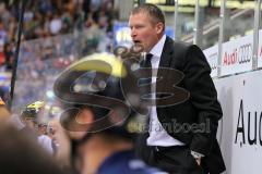 European Trophy - ERC Ingolstadt - Adler Mannheim - Cheftrainer Niklas Sundblad