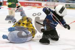 DEL - Eishockey - ERC Ingolstadt - Düsseldorfer EG - Saison 2015/2016 - Wonnemar Maskottchen stürzt vor dem Ziel - Xaverl - Foto: Jürgen Meyer