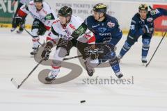 DEL - Eishockey - ERC Ingolstadt - Kölner Haie - Saison 2015/2016 - Jared Ross (#42 ERC Ingolstadt) - Patrick Hager (#25 Köln) - Foto: Meyer Jürgen
