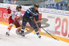 DEL - Eishockey - ERC Ingolstadt - Düsseldorfer EG - Saison 2016/2017 - Jean-Francois Jacques (#44 ERCI) - Kurt Davis (Nr.44, Duesseldorfer EG) - Foto: Meyer Jürgen
