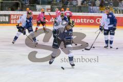 DEL - Eishockey - ERC Ingolstadt - Fischtown Pinguins - Saison 2016/2017 - Petr Taticek (#17 ERCI) beim warm machen - Foto: Meyer Jürgen