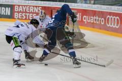 DEL - Eishockey - ERC Ingolstadt - Straubing Tigers - Saison 2016/2017 - Martin Buchwieser (#16 ERCI) - Foto: Meyer Jürgen