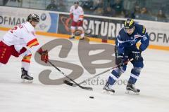DEL - Eishockey - ERC Ingolstadt - Düsseldorfer EG - Saison 2016/2017 - David Elsner (#61 ERCI) - Stephan Daschner (Nr.3, Duesseldorfer EG) - Foto: Meyer Jürgen