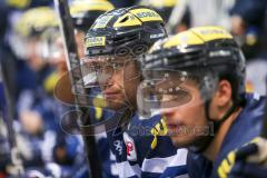 DEL - Eishockey - ERC Ingolstadt - Fischtown Pinguins - Saison 2016/2017 - Brian Salcido (#22 ERCI) -  Foto: Meyer Jürgen