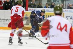 DEL - Eishockey - ERC Ingolstadt - HCB Südtirol Alperia - Saison 2016/2017 - Patrick Köppchen (#55 ERCI) - Foto: Meyer Jürgen