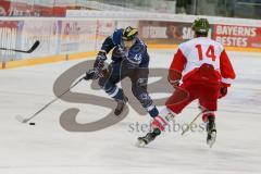 DEL - Eishockey - ERC Ingolstadt - HCB Südtirol Alperia - Saison 2016/2017 - Jean-Francois Jacques (#44 ERCI) - Everson Max rot Bozen - Foto: Meyer Jürgen