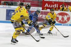 DEL - Eishockey - ERC Ingolstadt - Krefeld Pinguine - Saison 2017/2018 - David Elsner (#61 ERCI) - Foto: Meyer Jürgen