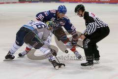 DEL - Eishockey - ERC Ingolstadt - Adler Mannheim - Saison 2017/2018 - Brett Olson (#16 ERCI) gewinnt das Bully - Luke Adam (#90 Mannheim) - Foto: Meyer Jürgen