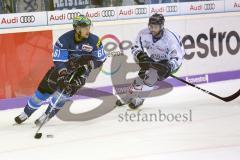 DEL - Eishockey - Saison 2017/2018 - ERC Ingolstadt - Straubing Tigers - David Elsner (ERC 61) links