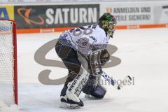 DEL - Eishockey - ERC Ingolstadt - Adler Mannheim - Saison 2017/2018 - Jochen Reimer (#32Torwart ERCI) - Foto: Meyer Jürgen