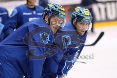 DEL - Eishockey - ERC Ingolstadt - Saison 2017/2018 - erstes Eistraining - Petr Taticek (ERC 17) und Mike Collins (ERC 13)