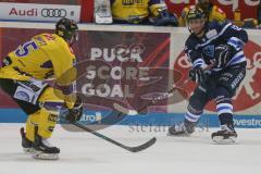 DEL - Eishockey - Saison 2018/2019 - ERC Ingolstadt - Krefeld Pinguine - Patrick Cannone (#12 ERCI) - # Foto: Meyer Jürgen