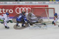 DEL - Eishockey - Saison 2018/2019 - ERC Ingolstadt - Augsburger Panther - Tyler Kelleher (#19 ERCI) - Olivier Roy Torwart (#31 Augsburg) - Foto: Meyer Jürgen