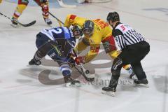 DEL - Eishockey - Saison 2018/2019 - ERC Ingolstadt - Düsseldorfer EG - Patrick Cannone (#12 ERCI) Patrick Buzas (#21 Düsseldorf) beim bully - Foto: Meyer Jürgen