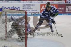 DEL - Eishockey - Saison 2018/2019 - ERC Ingolstadt - Straubing Tigers - Zatkoff Jeffrey Torwart (#37 Straubing) - Tyler Kelleher (#19 ERCI) - Foto: Meyer Jürgen