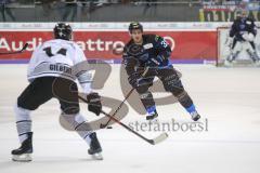 DEL - Eishockey - ERC Ingolstadt - Nürnberg Icetigers - Angriff Thomas Greilinger (ERC 39) Tom Gilbert (Nr.14, Thomas Sabo Ice Tigers)