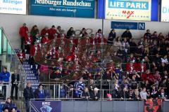 DEL - Eishockey - Saison 2018/2019 - ERC Ingolstadt - Kölner Haie - Die Schäffler in der Gegnerischen Fankurve - Foto: Meyer Jürgen