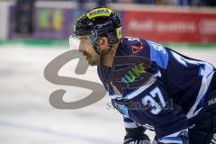 DEL - Eishockey - ERC Ingolstadt - Adler Mannheim - Sean Sullivan (ERC 37)