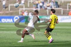 3. Liga; Borussia Dortmund II - FC Ingolstadt 04; Bryang Kayo (48, FCI) Guille Bueno (3 BVB2)
