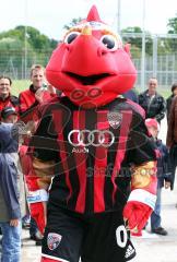 Das FC Ingolstadt Maskottchen 