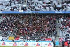 2. BL - FC Ingolstadt 04 - 1860 München 1:1 - Ingolstädter Fans