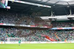 1. BL - Saison 2015/2016 - Werder Bremen - FC Ingolstadt 04 - Mitgereiste Fans nach Bremen - Foto: Jürgen Meyer