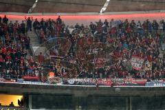 1. Bundesliga - Fußball - FC Bayern - FC Ingolstadt 04 - mitgereiste Fans Jubel Fahnen Block