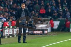 1. Bundesliga - Fußball - Werder Bremen - FC Ingolstadt 04 - Cheftrainer Maik Walpurgis (FCI) holt tief Luft an der Seitenlinie, Spannung