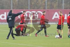1. Bundesliga - Fußball - FC Ingolstadt 04 - Training - Interimstrainer Michael Henke übernimmt Training bis neuer Cheftrainer gefunden ist, links gibt Anweisungen.