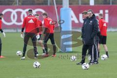 1. Bundesliga - Fußball - FC Ingolstadt 04 - Training - Interimstrainer Michael Henke übernimmt Training bis neuer Cheftrainer gefunden ist