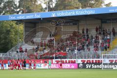2. Bundesliga - Fußball - SV Sandhausen - FC Ingolstadt 04 - 1:0 - Spiel ist aus Niederlage für FCI, Danke bei den mitgereisten Fans