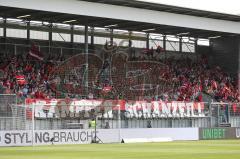 2. Bundesliga - Fußball - Mitgereiste fans des FCI - SV Wehen Wiesbaden - FC Ingolstadt 04 -