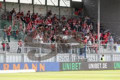 2. Bundesliga - Fußball - Mitgereiste Fans des FC Ingolstadt 04 - SV Wehen Wiesbaden - FC Ingolstadt 04 -
