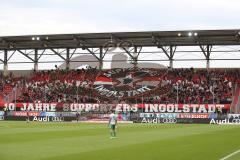 2. Bundesliga, 2. Spieltag, Fußball, FC Ingolstadt 04 - SpVgg Greuther Fürth, Fan Szene Supporter Fahnen Choreo