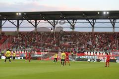 3. Liga - Fußball - FC Ingolstadt 04 - Würzburger Kickers - Ingolstadt Fans Fankurve Jubel Fahnen Banner