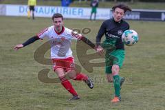 Landesliga Südost - SV Manching - TUS 1860 Pfarrkirchen - Harry Weller #11 grün Manching - Patrick Hahn weiss Pfarrkirchen - Foto: Jürgen Meyer