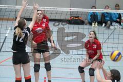 Damen Volleyball - ESV Ingolstadt - Lohhof - links 4 Sabine Hipler und rechts 11 Monika Fastenmeier