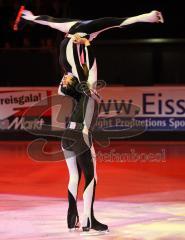 Eisgala 2008 - Saturn Arena