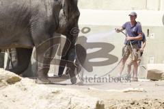 Kind von Elefantenkuh Temi im Tierpark Hellabrunn München wird von Elefant umgestoßen. Die große Rettungsaktion