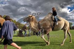 Klenzepark Ingolstadt - 30. Open Flair - Anja beim Kamelreiten