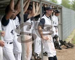 Baseball Ingolstadt Schanzer Heimspiel