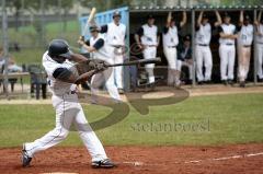 Baseball Ingolstadt Schanzer Heimspiel