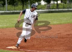 Baseball Ingolstadt Schanzer Heimspiel