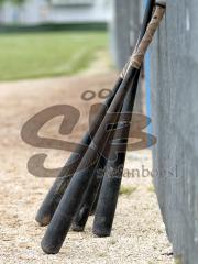 Baseball Ingolstadt Schanzer Heimspiel