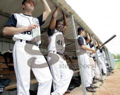 Baseball Ingolstadt Schanzer Heimspiel