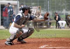 Baseball Ingolstadt Schanzer Heimspiel