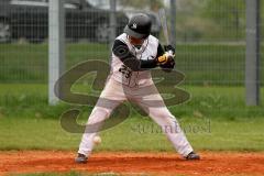 Landesliga Süd - Baseball Ingolstadt Schanzer - München Caribes - Foto: Jürgen Meyer