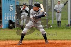 Landesliga Süd - Baseball Ingolstadt Schanzer - München Caribes - Foto: Jürgen Meyer