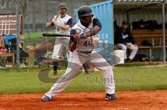 Landesliga Süd - Baseball Ingolstadt Schanzer - München Caribes - Foto: Jürgen Meyer